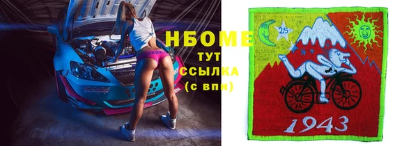 дживик Няндома