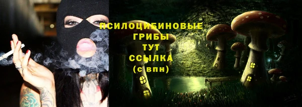 прущие грибы Нязепетровск