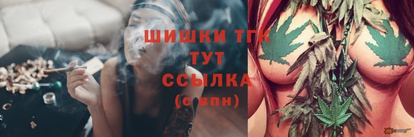 jwh Новозыбков