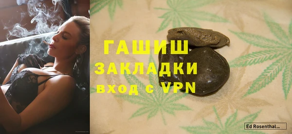 дживик Няндома