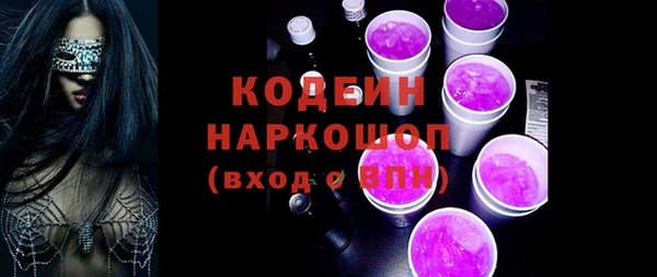 дживик Няндома