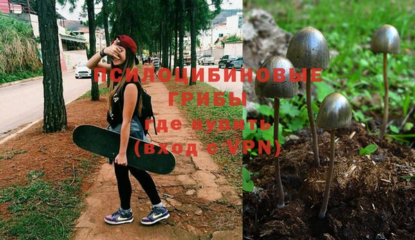 мяу мяу мука Новодвинск