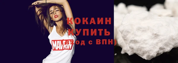 мяу мяу мука Новодвинск