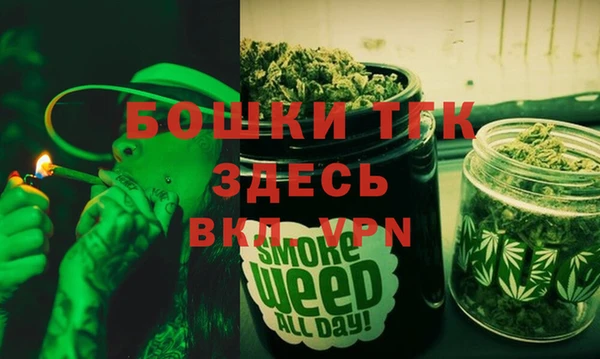 молекула духа Нягань