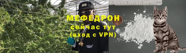 прущие грибы Нязепетровск
