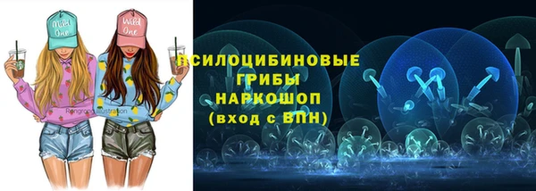 молекула духа Нягань