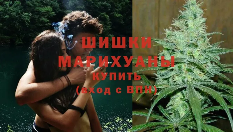 Бошки марихуана THC 21%  купить наркотик  Углегорск 